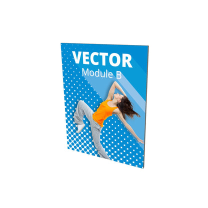 Vector modules - Walls