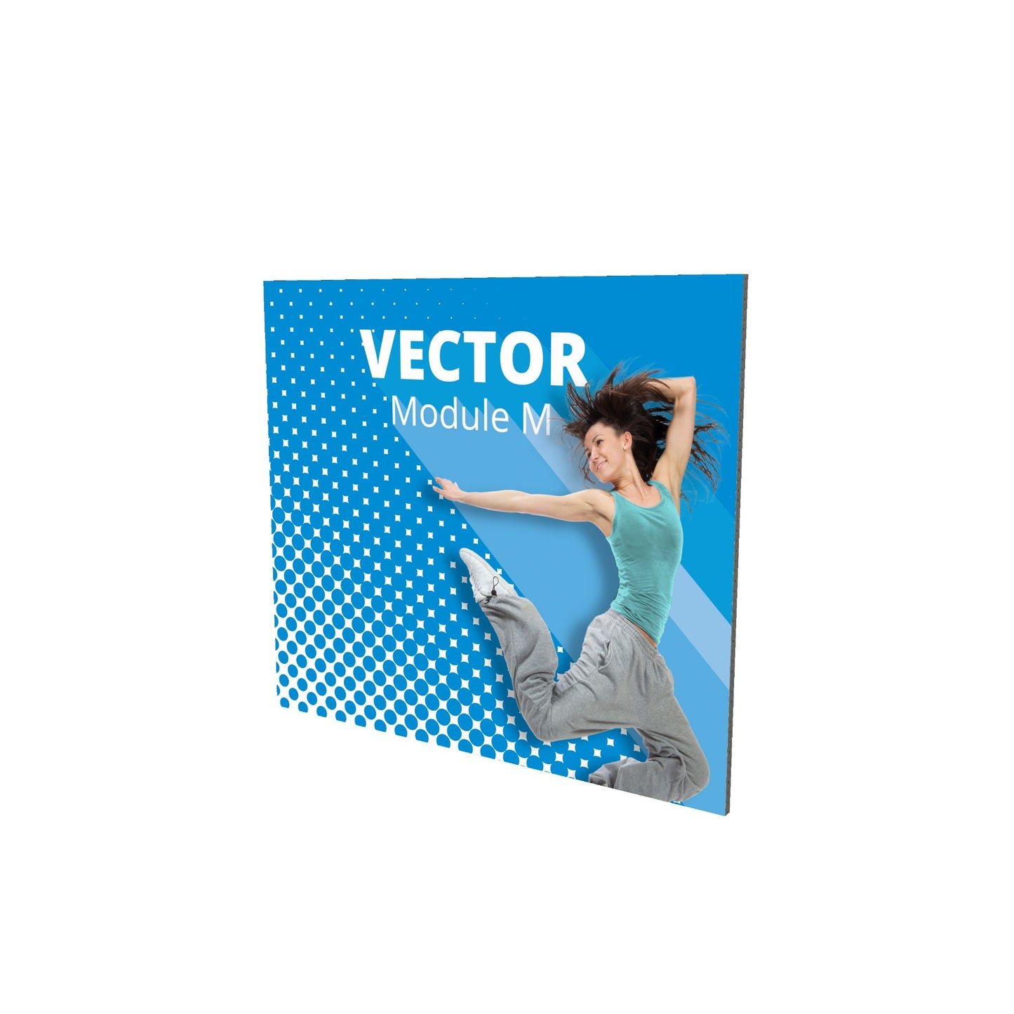 Vector modules - Walls